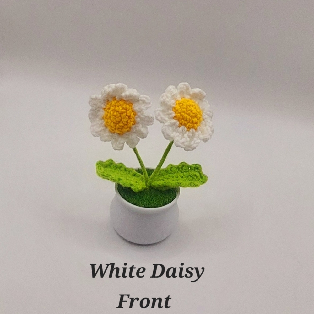 Crocheted Handmade Spring Flowers In Mini Pot W/Grass, White Daises